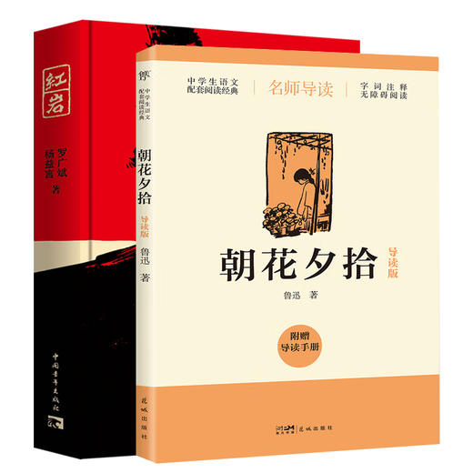 中学生语文配套阅读经典:艾青诗选+朝花夕拾+西游记+昆虫记+水浒传(导读版) 商品图1
