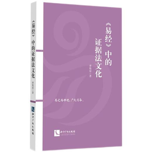 《易经》中的证据法文化 商品图0