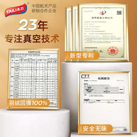 太力（TAILI）免抽气挂式压缩袋羽绒服收纳袋大衣西装防尘罩2件套AY878 商品图2