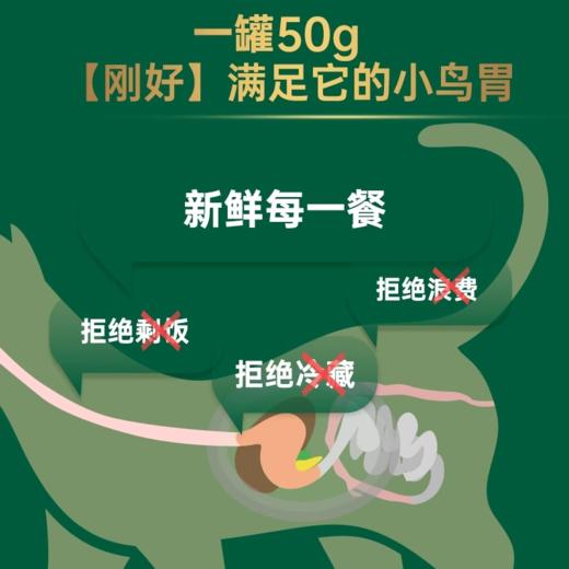 【金多乐金选】全价猫主食餐盒鲜肉湿粮肉泥猫罐头宠物零食 商品图4