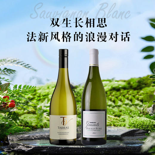 双生长相思，法新风格的浪漫对话 商品图0