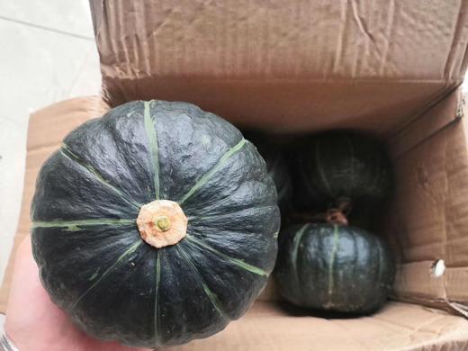 【宜昌】山水龙城贝贝南瓜净重5斤（4-8个） 商品图9