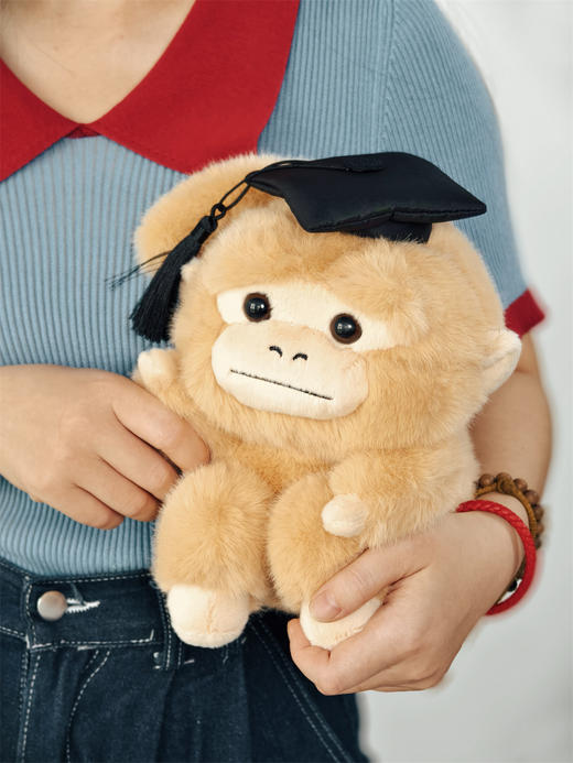 【新品现货】学术吗喽公仔 可选 深棕色 卷卷/ 浅色  问问 玩偶 商品图0