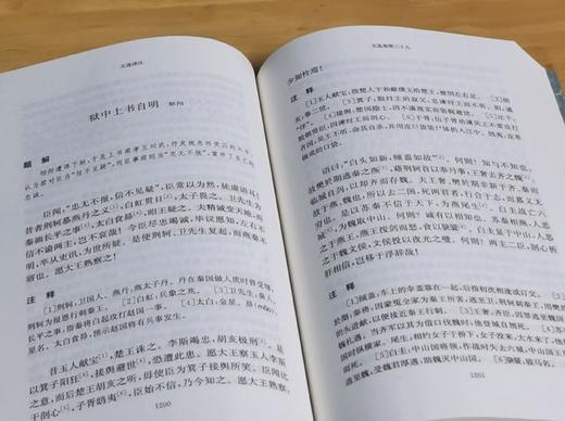 绝版！！齐梁文化研究丛书之：《文选译注》，平装，16开，全4册，张葆全、胡大雷主编，上海古籍出版社2020年一版一印，1962页，定价480，售价192元。品相9成。 商品图11