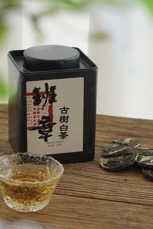 周五秒杀/2021年班章古树白茶小饼 250g/罐  前3名下单3罐，送易武凤凰窝 商品图0