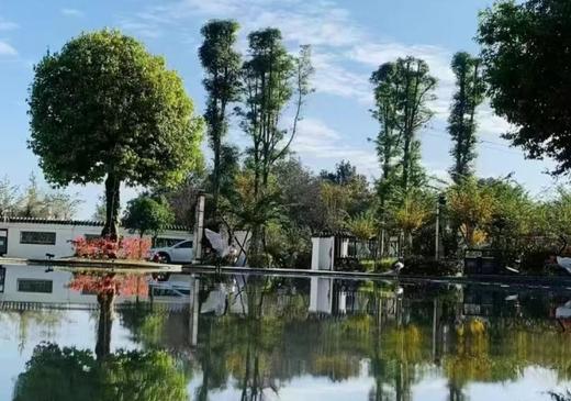 【成都周边独栋别墅·团建聚餐必选】￥299住温江·满天星精品民宿星语清新双床房/家庭房+2大1小早餐等！邂逅秘密花园，享露营 商品图1