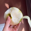 【秒杀】青黄蜜梨3斤装（3-6个  净重2.8-3斤） 商品缩略图5