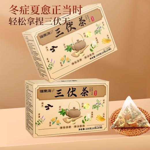 福东海 三伏茶200g  夏季陈皮金银花气三伏天泡水喝茶包 商品图1