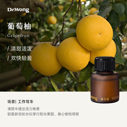 葡萄柚 植物香薰精油12ml 【三叠纪车载冷香仪专用】 商品图0