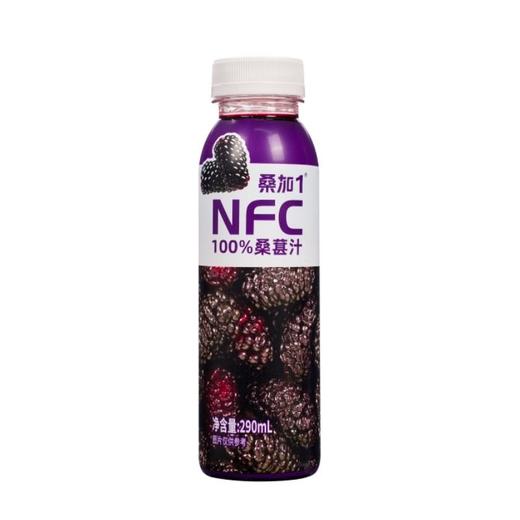 桑加1 NFC100%桑葚汁 290ml/瓶 商品图0