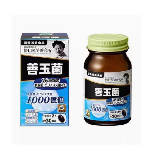 【日本直邮】Noguchi 野口医学研究所 善玉菌粉胶囊男女大人肠胃调理 60粒 商品图0