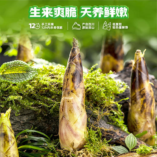 王小卤脆笋无骨鸡爪独立小包量贩装脱骨去骨凤爪解馋小零食鸡脚 商品图3