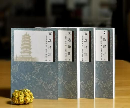 绝版！！齐梁文化研究丛书之：《文选译注》，平装，16开，全4册，张葆全、胡大雷主编，上海古籍出版社2020年一版一印，1962页，定价480，售价192元。品相9成。 商品图0