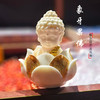【普陀过香款】象牙果菩提果宝宝佛 静心可送人自用-普陀山发货 商品缩略图5
