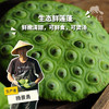 生态鲜莲蓬 | 合作生产*Eco-lotus seedpod | Partner Production 商品缩略图0