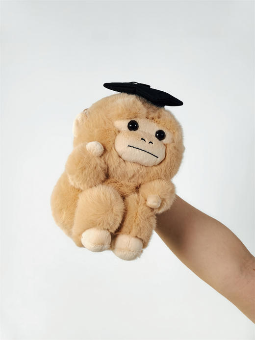 【新品现货】学术吗喽公仔 可选 深棕色 卷卷/ 浅色  问问 玩偶 商品图5