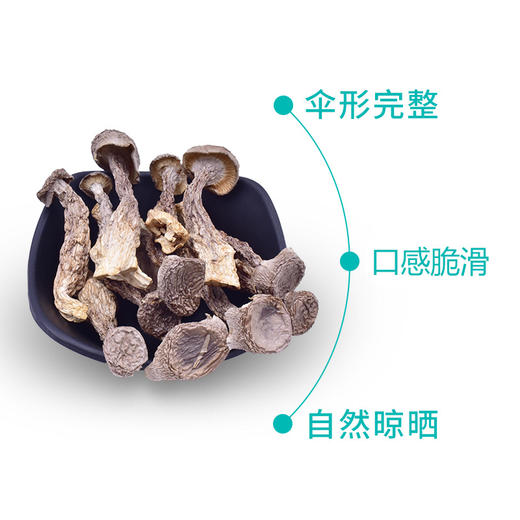 鑫碧源鹿茸菌100g 商品图2