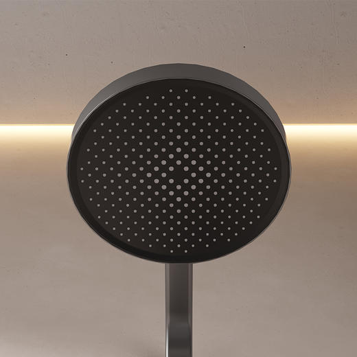 【门店款】帝王洁具TC24033花洒喷头花洒套装淋浴器套装卫生间高档淋浴器 商品图3