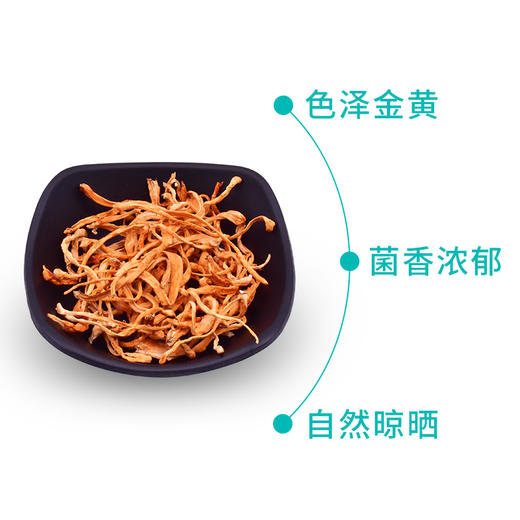 鑫碧源有机蛹虫草80g 商品图2