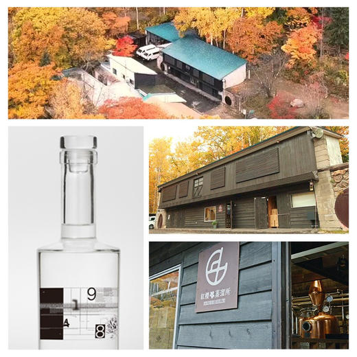 45°红樱 9148 金酒700ml 日本原装进口 洋酒 红樱金酒 700mL 1瓶 商品图4