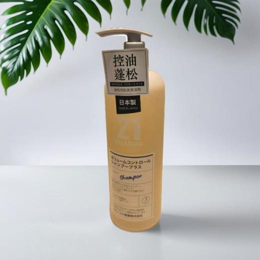 发玛21蓬松控油洗发水 600ml/瓶 商品图0