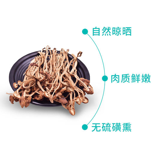 鑫碧源江西茶树菇128g 商品图2