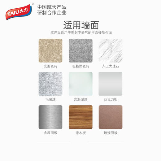 太力（TAILI）吸盘淋浴花洒支架AW619 商品图6