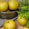 【秒杀】青黄蜜梨3斤装（3-6个  净重2.8-3斤） 商品缩略图4