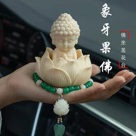 【普陀过香款】象牙果菩提果宝宝佛 静心可送人自用-普陀山发货