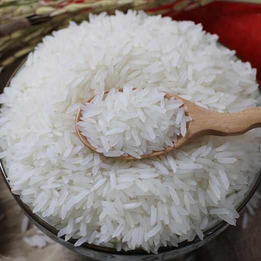 万年贡御馫香软米 寒野香米 万年贡米500g 商品图2