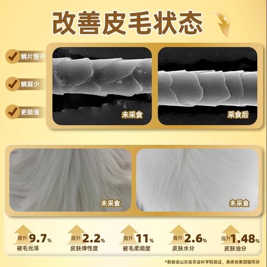 【金多乐金选】K45鲜肉低温烘焙猫粮冻干生骨肉全价成幼猫美毛增肥发腮试吃营养 商品图9