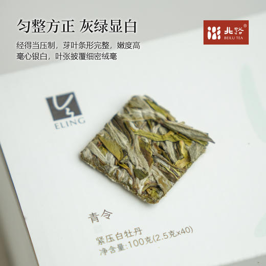 「北路白茶」24青令 福鼎白茶白牡丹2024年高山茶叶小方片茶100g 商品图1