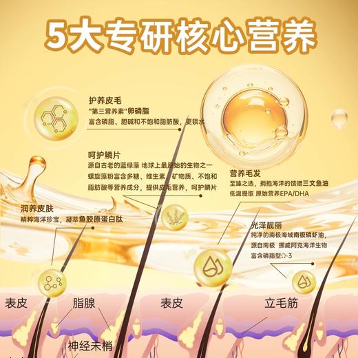 【金多乐金选】K45鲜肉低温烘焙猫粮冻干生骨肉全价成幼猫美毛增肥发腮试吃营养 商品图5