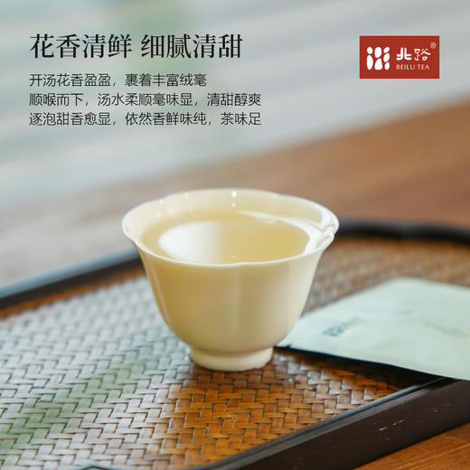 「北路白茶」24青令 福鼎白茶白牡丹2024年高山茶叶小方片茶100g 商品图2