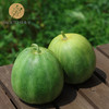 试种新品：脆蜜甜瓜 （2个装） 750克  全国配送（偏远地区除外） 商品缩略图0