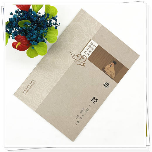 难经（中医必读经典丛书）(战国) 扁鹊 张永泰 校注 中国中医药出版社 商品图1