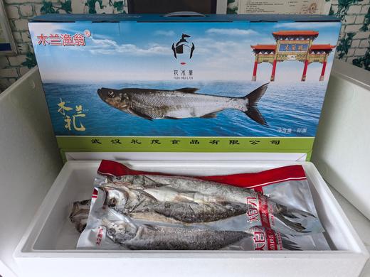 【武汉.黄陂】江城百臻木兰渔翁大白刁6斤正负0.2斤（4-6条） 商品图1