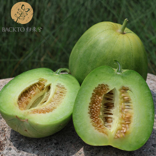 试种新品：脆蜜甜瓜 （2个装） 750克  全国配送（偏远地区除外） 商品图3