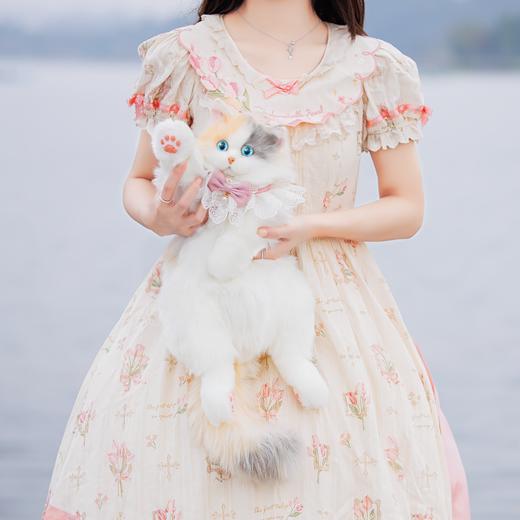 Chongker/宠客 淡三花猫背包 标准款 商品图7