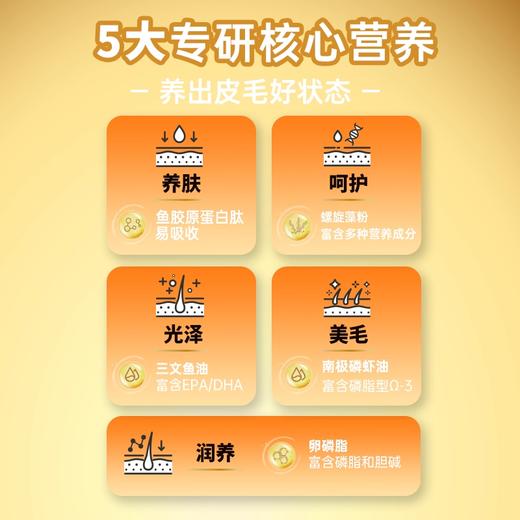 【金多乐金选】K45鲜肉低温烘焙猫粮冻干生骨肉全价成幼猫美毛增肥发腮试吃营养 商品图7