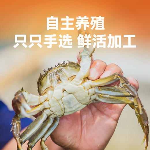 【直送到家】礼品卡包邮到家 新孟河虾蟹礼盒  新意礼卡（实物约1.5两醉蟹4只装2盒+400g罗氏虾2盒） 商品图3