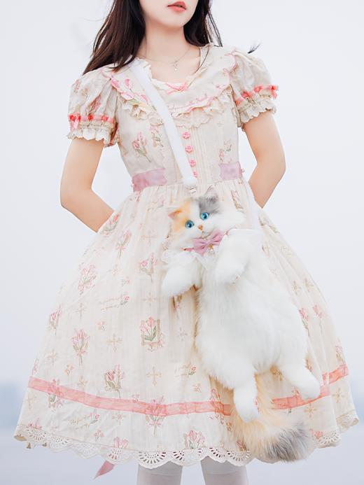 Chongker/宠客 淡三花猫背包 标准款 商品图4