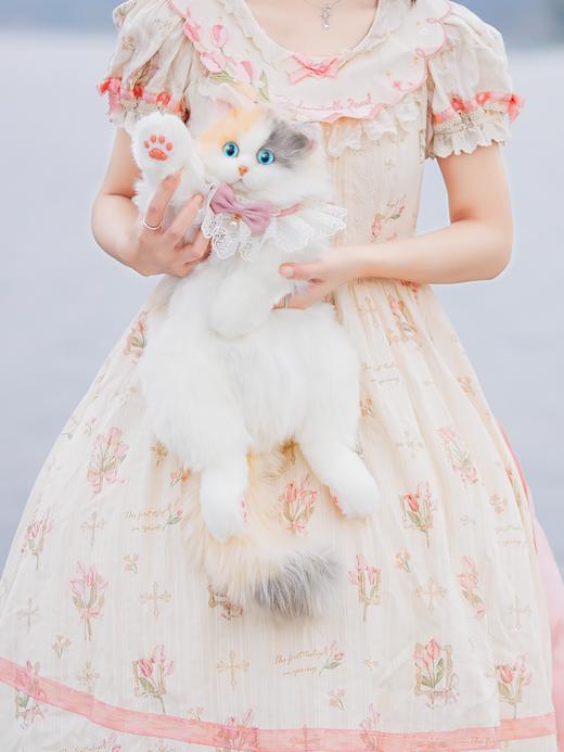 Chongker/宠客 淡三花猫背包 标准款 商品图3