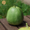 试种新品：脆蜜甜瓜 （2个装） 750克  全国配送（偏远地区除外） 商品缩略图2