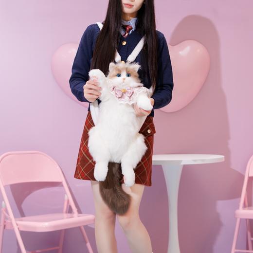 Chongker/宠客 布偶猫背包 标准款 商品图4