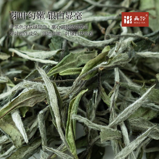 「北路白茶」冷泡白牡丹 福鼎白茶特级茶叶2024年独立小包装散茶60g 商品图1
