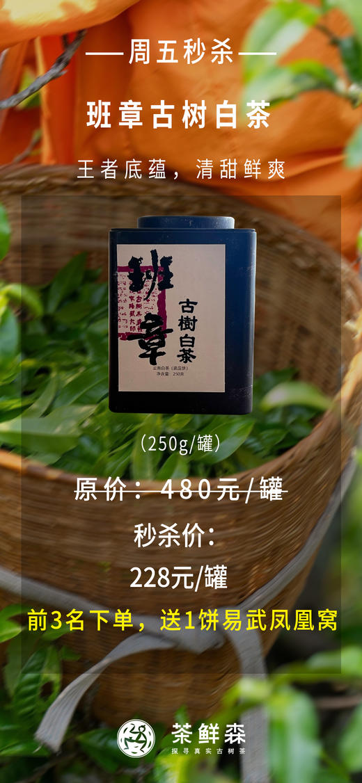 周五秒杀/2021年班章古树白茶小饼 250g/罐  前3名下单3罐，送易武凤凰窝 商品图4