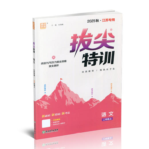 2025秋 小学拔尖特训 语文二年级上册人教版 部编版小学教辅2上 提优训练专项练习一课一练同步教辅 必刷题 通成学典天天练教辅 商品图2