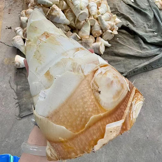 高汤笋丝*780g*4盒（顺丰冷链包邮，送礼品袋） 商品图1