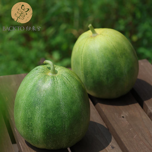 试种新品：脆蜜甜瓜 （2个装） 750克  全国配送（偏远地区除外） 商品图1